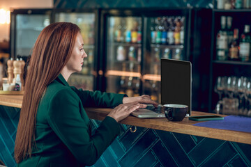 Woman looking at laptop sitting in cafe