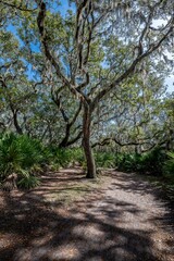 Fototapeta premium creative