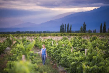 Gartenposter Woman in vineyards in Andes mountains on wine tasting vacation at a winery in Uco Valley (Valle de Uco), a wine region in Mendoza Province, Argentina, South America © Matthew