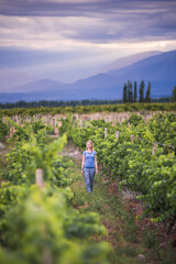 Woman in vineyards in Andes mountains on wine tasting vacation at a winery in Uco Valley (Valle de...