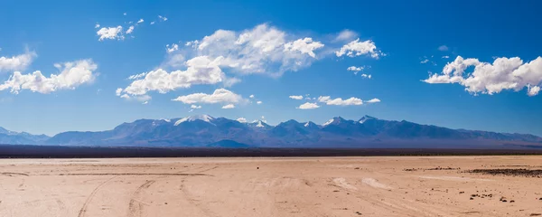 Fotobehang Dry river bed during a drought at El Barreal Blanco de la Pampa del Leoncito, San Juan Province, Argentina, South America, background with copy space © Matthew