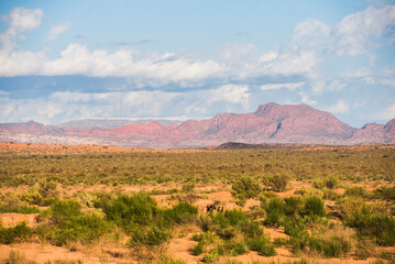 Naklejka premium Talampaya National Park (Parque Nacional de Talampaya), La Rioja Province, North Argentina (UNESCO World Heritage Site), South America