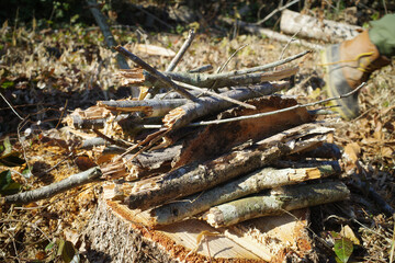 クヌギの枝を集めた薪