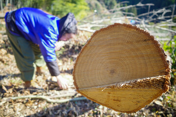ブッシュクラフトをする男性