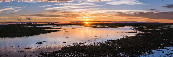 Fototapeta na wymiar Sunset at Estancia San Juan de Poriahu, Ibera Wetlands, a marshland in Corrientes Province, Argentina, South America