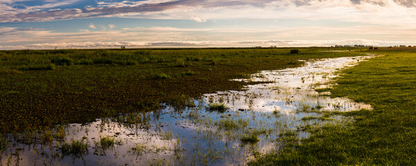 Estancia San Juan de Poriahu, Ibera Wetlands, a marshland in Corrientes Province, Argentina, South America