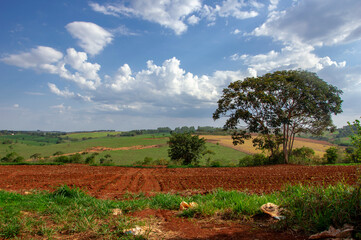 Farm Fazenda S&iacute;tio Chacara