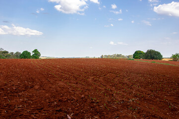 Farm Fazenda Sítio Chacara