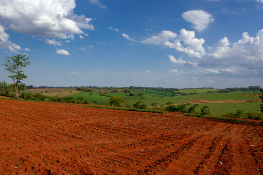 Farm Fazenda S&iacute;tio Chacara