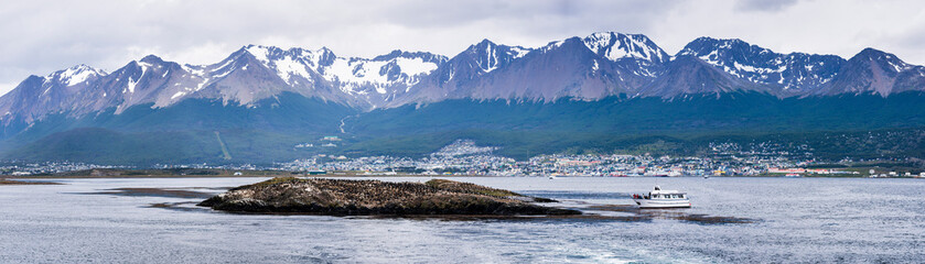 Cormorant colony, Ushuaia in the Beagle Channel (Beagle Strait), Tierra Del Fuego, Patagonia, Argentina, South America