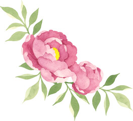 水彩で描いた牡丹のイラスト © エコ