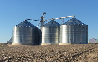 Raising Grain © Raymond