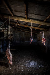 Meat drying on the farm at Estancia La Oriental, Perito Moreno National Park, Santa Cruz Province, Patagonia, Argentina, South America