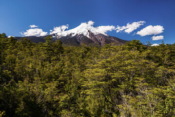 Obraz premium Osorno Volcano (Volcan Osorno), Vicente Perez Rosales National Park, Chilean Lake District, Chile, South America