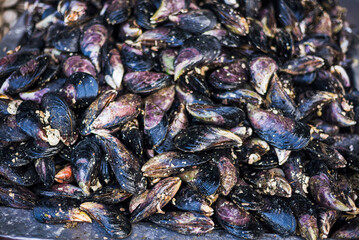 Mussels at Angelmo fish market, Puerto Montt, Chile, South America