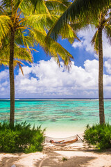 Woman relaxing in a hammock under palm trees on the white sandy beach on the tropical island of Rarotonga, Cook Islands, South Pacific Ocean