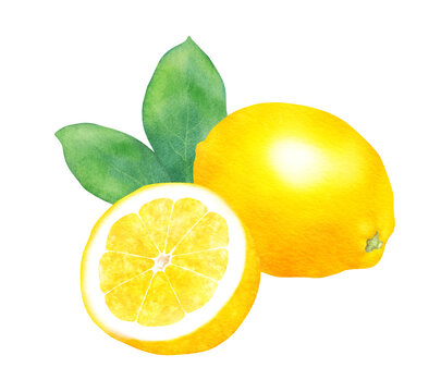 レモン Images Browse 28 237 Stock Photos Vectors And Video Adobe Stock