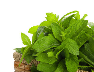 Wicker basket with mint on white background