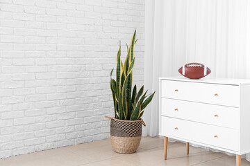Chest of drawers with rugby ball and houseplant near light curtains