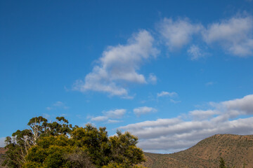 Landscape scene in the Central Karoo region of South Africa