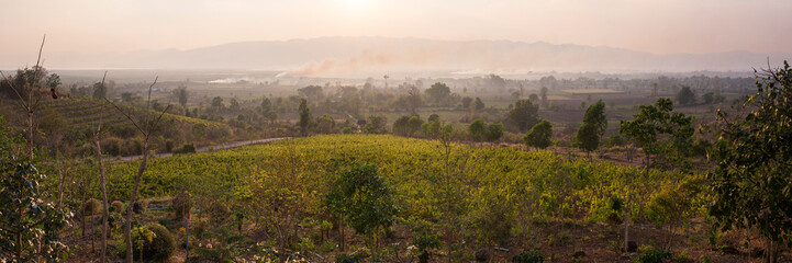 'Red Mountain Estate Vineyards and Winery', Inle Lake, near Nyaungshwe, Shan State, Myanmar (Burma)