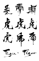 トラ年 - 虎の漢字の手書き筆文字のベクター素材 / Vector AI handwritten calligraphy of the Year of the Tiger