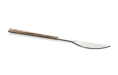 Stainless steel knife with wooden handle on white background