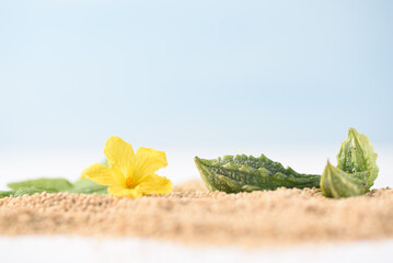 Organic bitter gourd and quinoa on  light blue sky background. Tropical summer vacation concept
