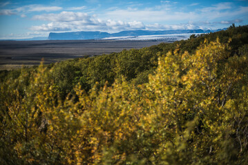 Fototapeta na wymiar View from Skaftafell National Park on the walk to Svartifoss (Black Waterfall), South Region of Iceland (Sudurland), Europe, background with copy space