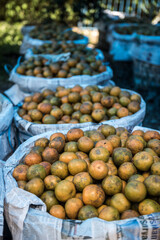 Orange farm, Berastagi (Brastagi), North Sumatra, Indonesia, Asia