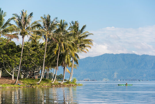 Fisherman and palm trees, Lake Toba (Danau Toba), North Sumatra, Indonesia, Asia