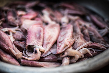 Squid for sale at Hpa An Morning Market, Kayin State (Karen State), Myanmar (Burma)
