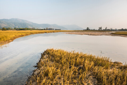 Floodplain at Tizit Beach, Dawei Peninsula, Tanintharyi Region, Myanmar (Burma)