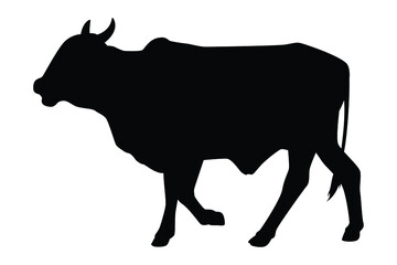 Walking cow silhouette vector on white, Animal in farm.
