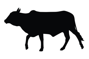 Walking cow silhouette vector on white, Animal in farm.