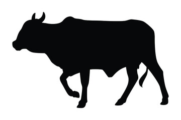 Walking cow silhouette vector on white, Animal in farm.