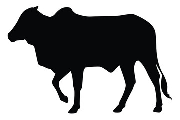 Walking cow silhouette vector on white, Animal in farm.
