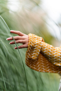 Close up image of Woman hand reaching to the green grass at the garden
