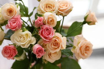 Closeup view of beautiful roses on light background