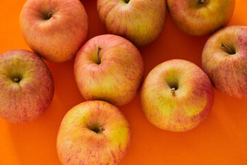 収穫した美味しいりんごのクローズアップ写真