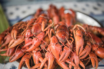 Cray fish for sale in Ranomafana market, Madagascar Central Highlands