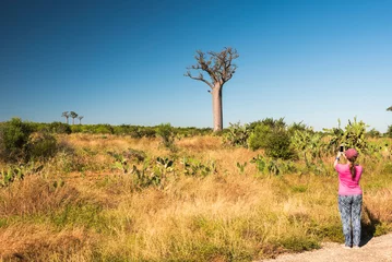 Zelfklevend Fotobehang Tourist taking a photo of a Baobab Tree, Ifaty, South West Madagascar, Africa © Matthew