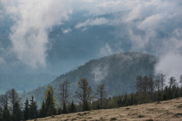 Misty landscape in the Parang Mountains at Ranca, Carpathian Mountains, Oltenia Region, Romania