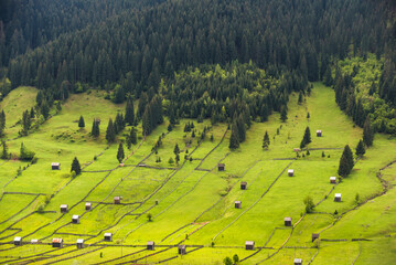 Rural landscape of the Bukovina Region, Sadova, Romania