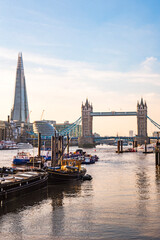 Obraz premium Tower Bridge and the Shard at sunset, seen behind the River Thames, Tower Hamlets, London, England