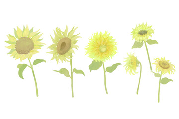 〘シックな向日葵のイラスト〙くすみカラー/大輪/ナチュラルテイスト/セット