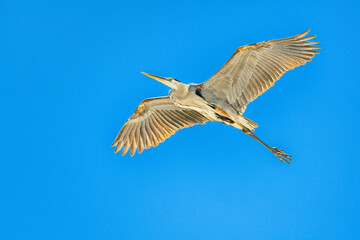 Obraz premium creative