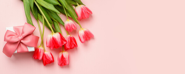 Colorful pink tulips and gift box with copy space. Background for womens day, 8 March, Valentines...