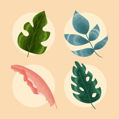 four tropical leafs icons