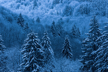 Winter landscapes of Carpathian Mountains near Brasov, Brasov County, Romania